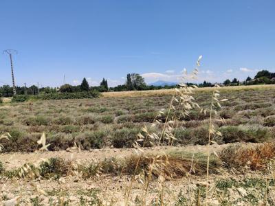 Acheter Maison 90 m2 Orange