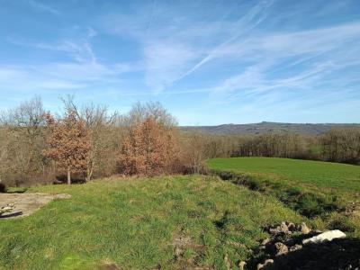 For sale Mirandol-bourgnounac 6310 m2 Tarn (81190) photo 0
