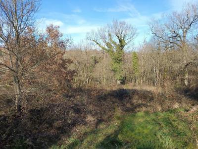 For sale Mirandol-bourgnounac 4526 m2 Tarn (81190) photo 0