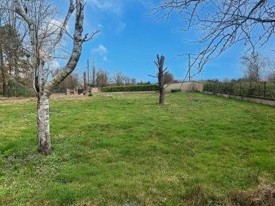 Acheter Maison 187 m2 Roanne