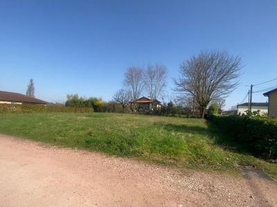 Annonce Vente Terrain Bey 01