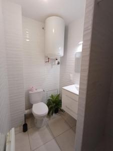 Acheter Immeuble Narbonne Aude