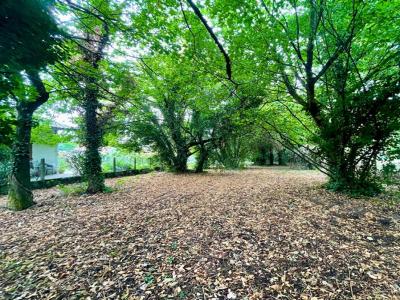 Annonce Vente Terrain Pessac 33