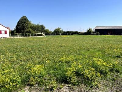 Acheter Terrain Grandes-chapelles Aube