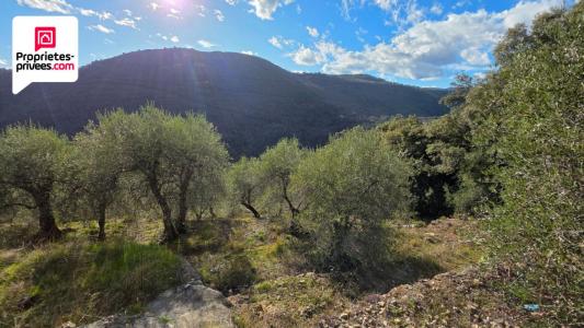 Acheter Terrain 16190 m2 Cabris