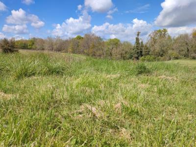 For sale Cadillac 1300 m2 Gironde (33410) photo 0