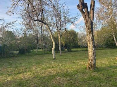 Annonce Vente Terrain Martillac 33