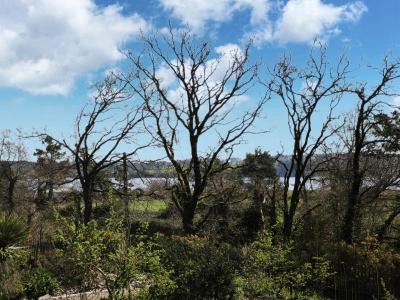 For sale Arzal 3 rooms 43 m2 Morbihan (56190) photo 2