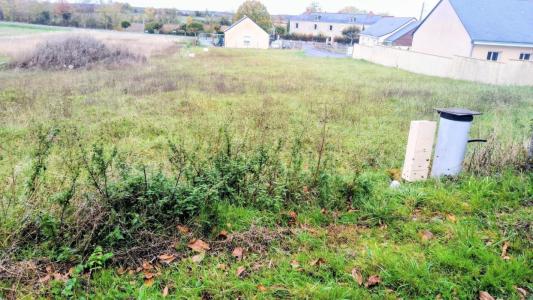 For sale Louresse-rochemenier 494 m2 Maine et loire (49700) photo 0