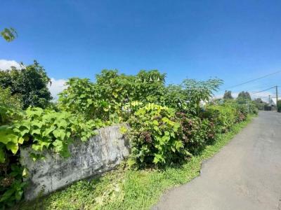 Annonce Vente Terrain Saint-joseph 974