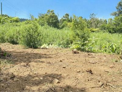 Acheter Terrain Saint-joseph Reunion