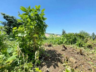 Acheter Terrain Saint-joseph 150000 euros