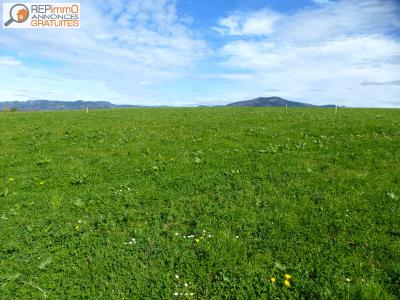 Acheter Terrain Courpiere