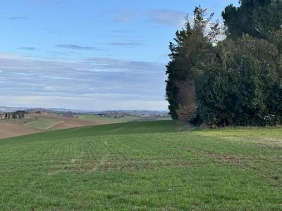 Annonce Vente Terrain Montbrun-lauragais 31