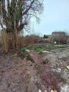 For sale Carvin 79 m2 Pas de calais (62220) photo 2