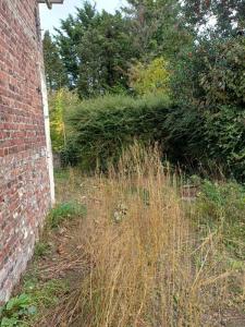 Acheter Maison 78 m2 Calonne-ricouart