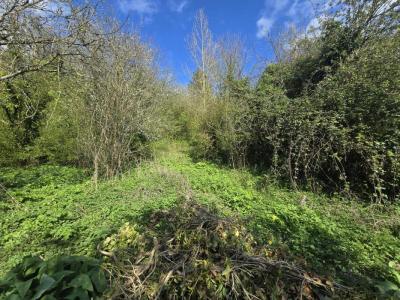 Annonce Vente 4 pi�ces Maison Monchy-cayeux 62