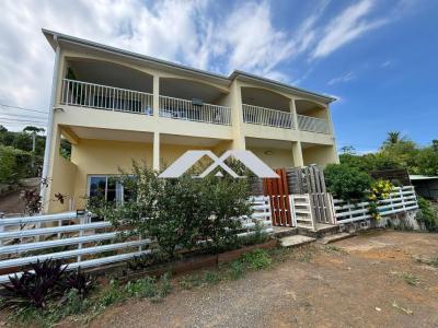 Annonce Vente Immeuble Petite-ile 974