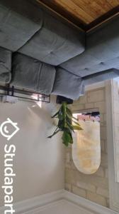 For rent Bordeaux 1 room 11 m2 Gironde (33800) photo 0