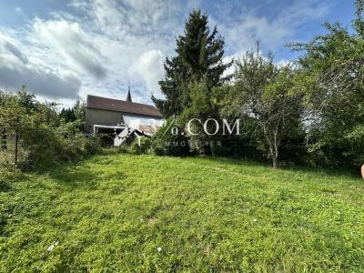 Acheter Maison Neuviller-les-badonviller Meurthe et moselle