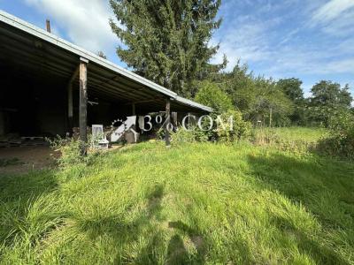 Acheter Maison Neuviller-les-badonviller 95400 euros