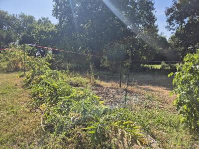 Acheter Terrain  Vendee