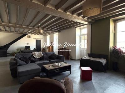 Acheter Maison 200 m2 Neuville-sur-sarthe