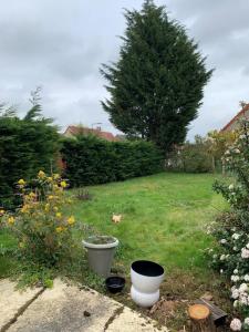 Annonce Vente Maison Wormhout 59