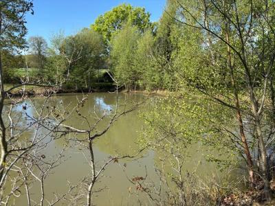 Acheter Terrain 5230 m2 Marcille-raoul