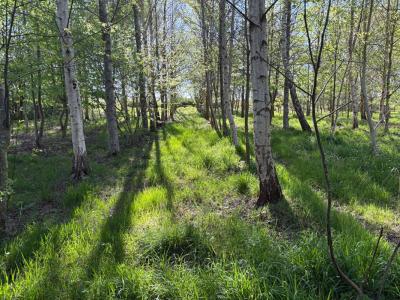 Acheter Terrain Marcille-raoul Ille et vilaine