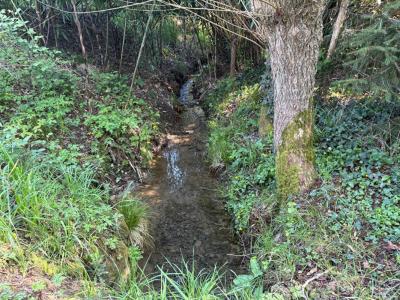 Acheter Terrain Marcille-raoul 36000 euros