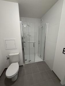 Louer Appartement Riedisheim 675 euros