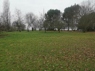 For sale Saint-martin-du-bois 1300 m2 Gironde (33910) photo 0