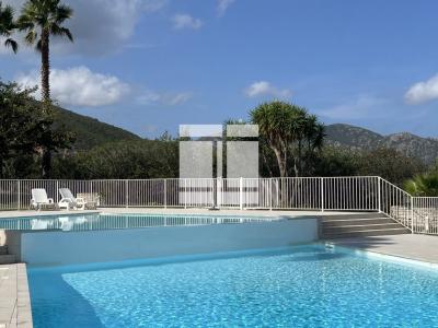 Annonce Vente Appartement Saint-florent 20