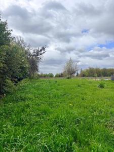 For sale Sadirac 480 m2 Gironde (33670) photo 0