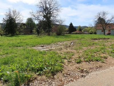 Acheter Terrain Besancon Doubs