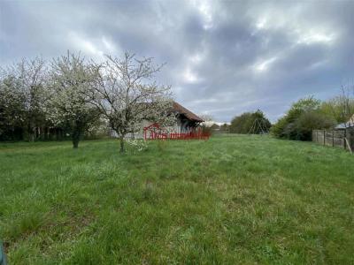 Acheter Maison Arcis-sur-aube