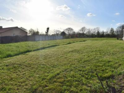 Acheter Terrain 434 m2 Cancale