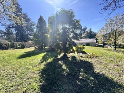 Acheter Maison  253000 euros