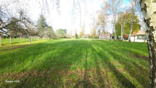 Annonce Vente Terrain Chauffour-les-bailly 10