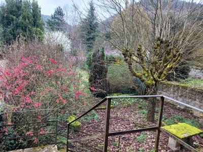 Annonce Vente 7 pi�ces Maison Conliege 39