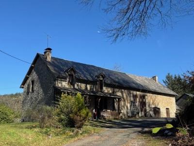 Annonce Vente Prestige Veix 19