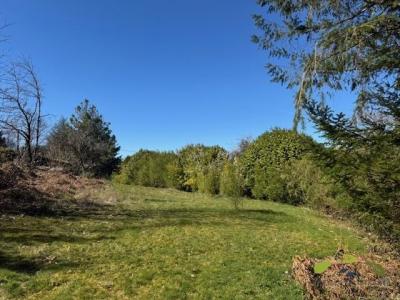 Acheter Prestige Veix 172800 euros