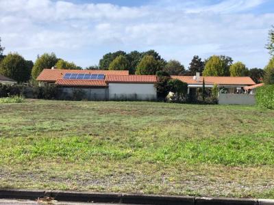 Acheter Maison 90 m2 Belin-beliet