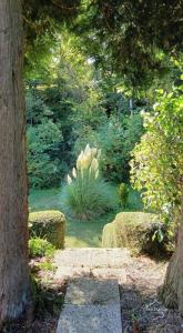 Acheter Maison Chigny 149000 euros