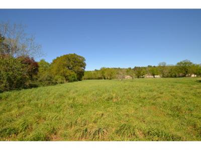 Annonce Vente Terrain Montpon-menesterol 24