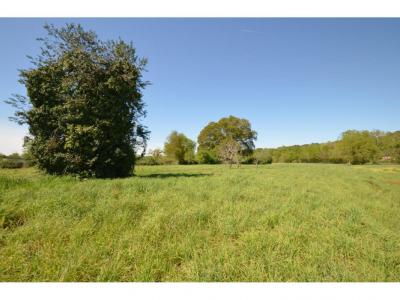 Acheter Terrain 4522 m2 Montpon-menesterol