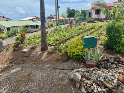Acheter Terrain Saint-pierre