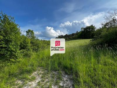 For sale Saint-paul-de-serre 3350 m2 Dordogne (24380) photo 2