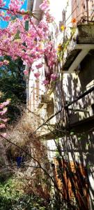 Acheter Maison 210 m2 Mantes-la-jolie